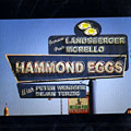 Hammond eggs, Roberto Jermaine Landsberger , Paulo Morello
