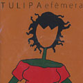 Efmera,   Tulipa