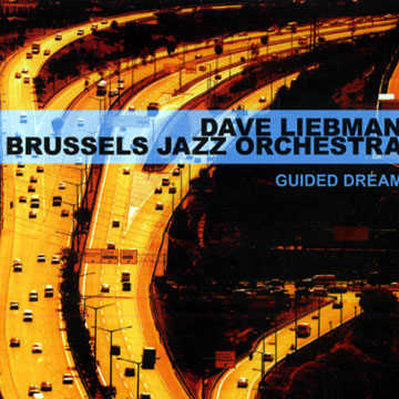 Guided dream,Dave Liebman