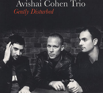 Gently Disturbed,Avishai Cohen