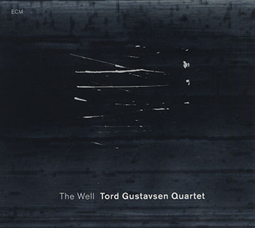 The well,Tord Gustavsen
