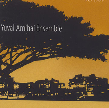 Yuval Amihai ensemble,Yuval Amihai