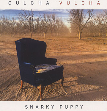 Culcha Vulcha- Snarky Puppy, Various Artists