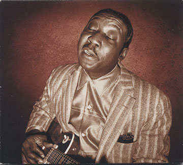 BLUES MASTERS WORKS,Muddy Waters