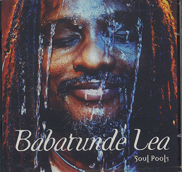 SOUL POOLS,Babatunde Lea