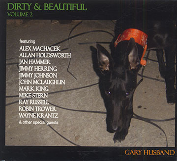 Dirty & Beautiful Vol.2,Gary Husband