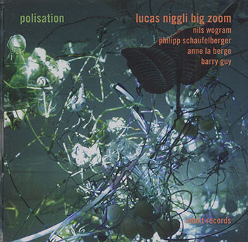 Polisation,Lucas Niggli