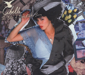 The Shine of Dried Electric Feanes , Cibelle