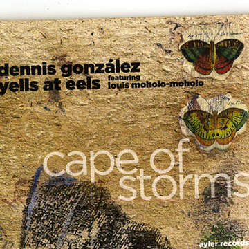 Cape of storms,Dennis Gonzalez